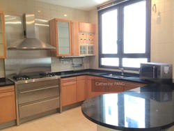 Ardmore Park (D10), Condominium #153668362